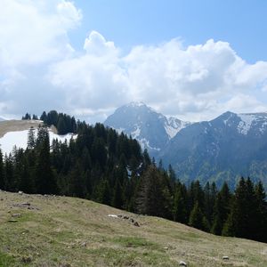 Preview wallpaper mountains, trees, forest, clouds, sky, nature