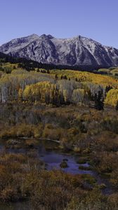 Preview wallpaper mountains, trees, forest, autumn, peak