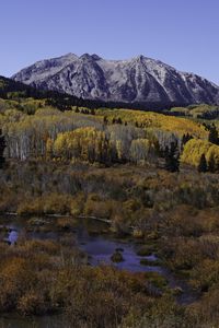 Preview wallpaper mountains, trees, forest, autumn, peak