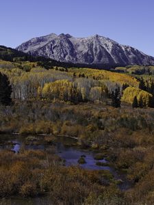 Preview wallpaper mountains, trees, forest, autumn, peak