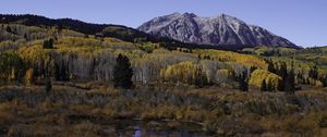 Preview wallpaper mountains, trees, forest, autumn, peak