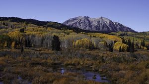 Preview wallpaper mountains, trees, forest, autumn, peak