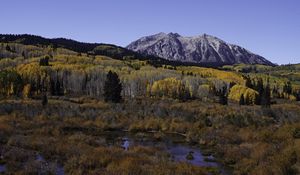 Preview wallpaper mountains, trees, forest, autumn, peak