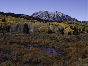 Preview wallpaper mountains, trees, forest, autumn, peak