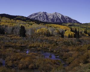 Preview wallpaper mountains, trees, forest, autumn, peak