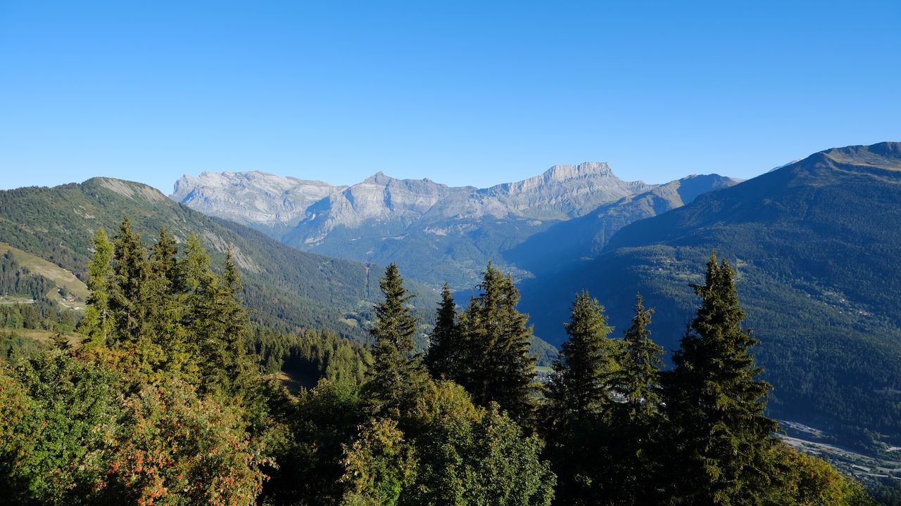 Wallpaper mountains, trees, forest, landscape, nature