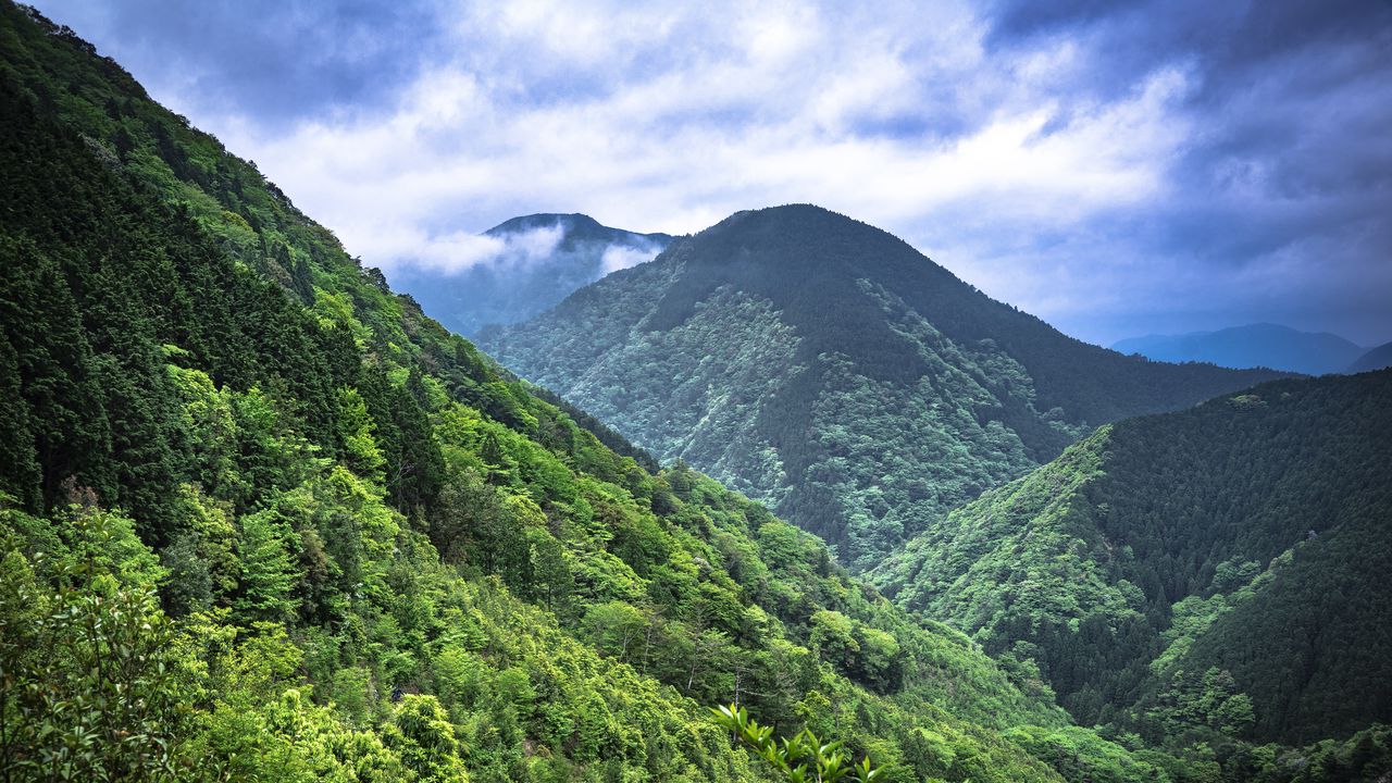 Wallpaper mountains, trees, forest, clouds, nature, landscape