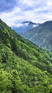 Preview wallpaper mountains, trees, forest, clouds, nature, landscape