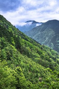 Preview wallpaper mountains, trees, forest, clouds, nature, landscape