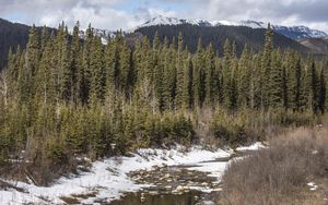 Preview wallpaper mountains, trees, forest, nature, landscape