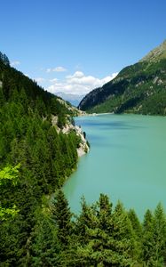 Preview wallpaper mountains, trees, forest, lake, landscape, aerial view