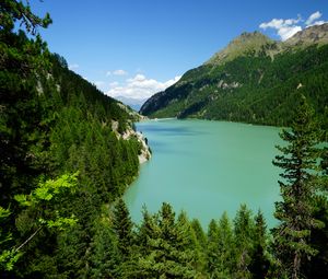 Preview wallpaper mountains, trees, forest, lake, landscape, aerial view