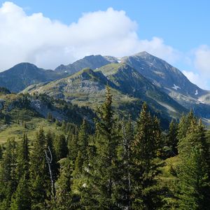 Preview wallpaper mountains, trees, forest, relief, landscape, nature