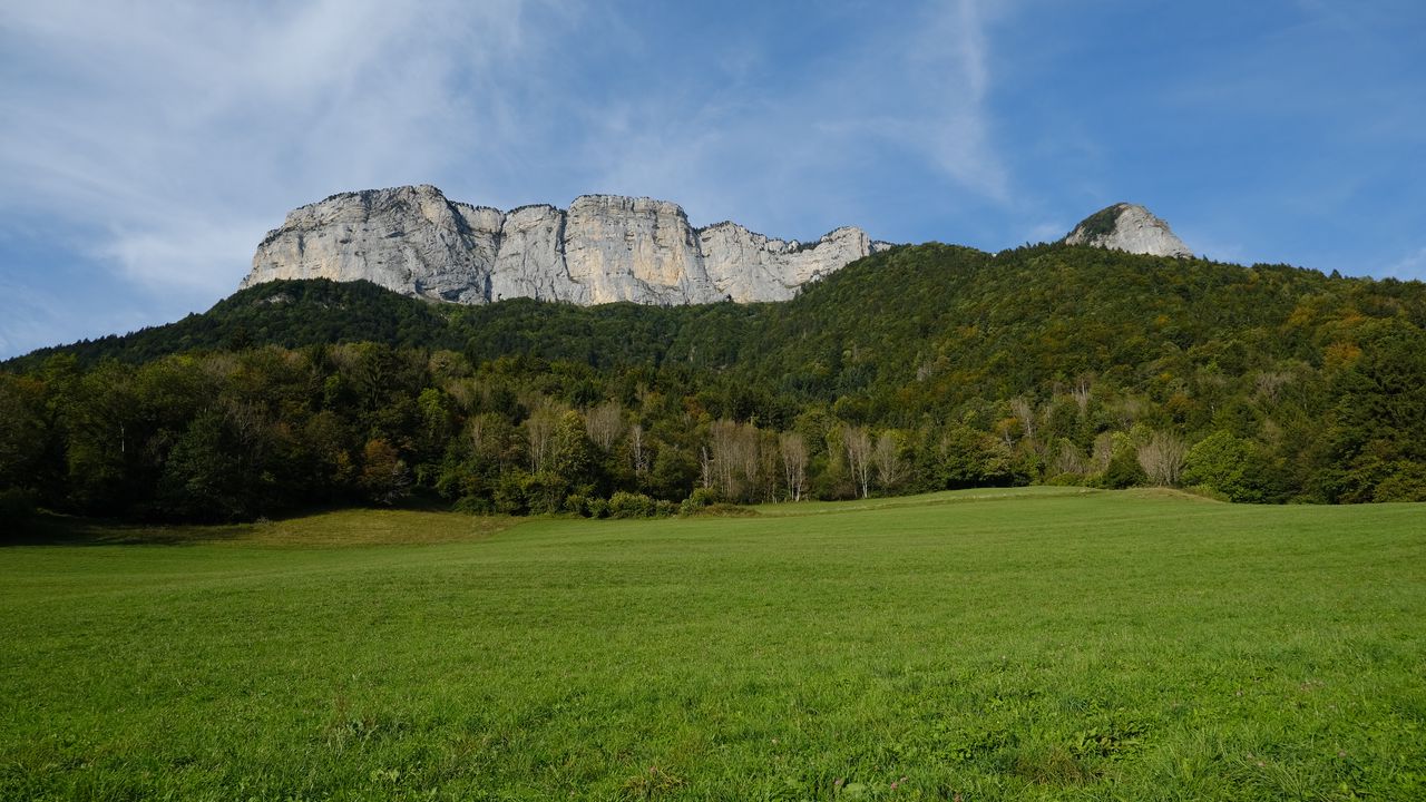 Wallpaper mountains, trees, forest, field, nature, landscape