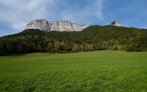 Preview wallpaper mountains, trees, forest, field, nature, landscape