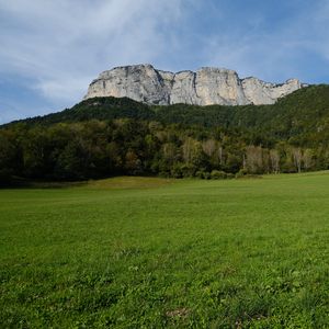 Preview wallpaper mountains, trees, forest, field, nature, landscape