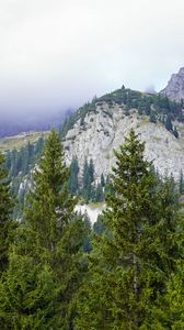 Preview wallpaper mountains, trees, forest, fog, landscape, aerial view