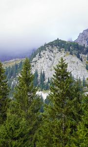 Preview wallpaper mountains, trees, forest, fog, landscape, aerial view