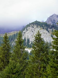 Preview wallpaper mountains, trees, forest, fog, landscape, aerial view