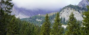 Preview wallpaper mountains, trees, forest, fog, landscape, aerial view