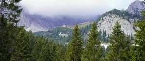 Preview wallpaper mountains, trees, forest, fog, landscape, aerial view