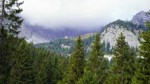 Preview wallpaper mountains, trees, forest, fog, landscape, aerial view