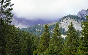 Preview wallpaper mountains, trees, forest, fog, landscape, aerial view