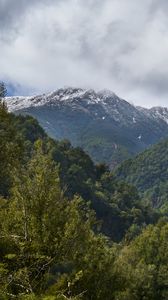 Preview wallpaper mountains, trees, forest, nature, aerial view