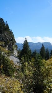 Preview wallpaper mountains, trees, forest, nature, green