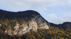 Preview wallpaper mountains, trees, forest, autumn, landscape