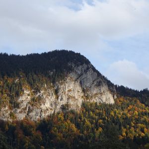 Preview wallpaper mountains, trees, forest, autumn, landscape