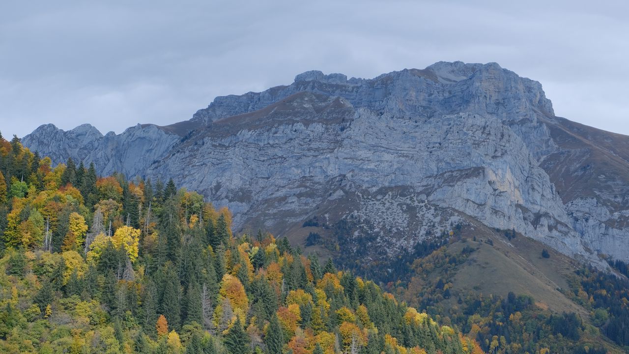 Wallpaper mountains, trees, forest, slope, nature