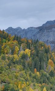 Preview wallpaper mountains, trees, forest, slope, nature