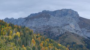 Preview wallpaper mountains, trees, forest, slope, nature
