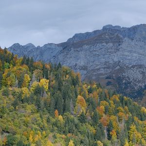 Preview wallpaper mountains, trees, forest, slope, nature