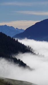 Preview wallpaper mountains, trees, forest, fog, landscape, nature