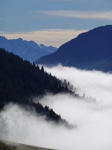 Preview wallpaper mountains, trees, forest, fog, landscape, nature