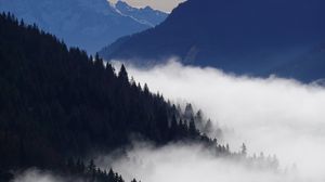 Preview wallpaper mountains, trees, forest, fog, landscape, nature