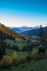 Preview wallpaper mountains, trees, forest, trail, houses, nature