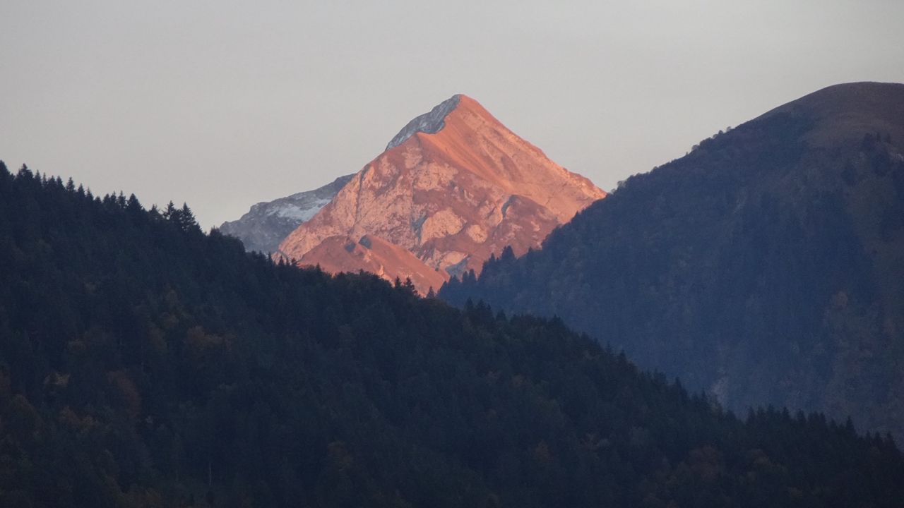 Wallpaper mountains, trees, forest