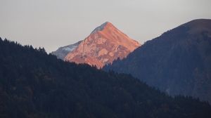 Preview wallpaper mountains, trees, forest