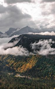 Preview wallpaper mountains, trees, forest, valley, clouds, landscape