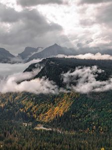 Preview wallpaper mountains, trees, forest, valley, clouds, landscape