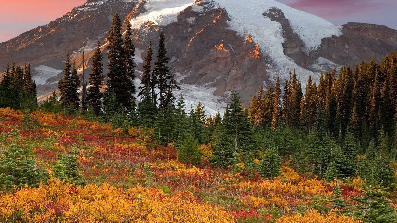 Wallpaper mountains, trees, fur-trees, autumn, colors, green, yellow, snow, top