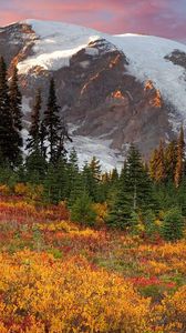Preview wallpaper mountains, trees, fur-trees, autumn, colors, green, yellow, snow, top