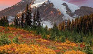 Preview wallpaper mountains, trees, fur-trees, autumn, colors, green, yellow, snow, top