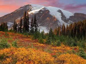 Preview wallpaper mountains, trees, fur-trees, autumn, colors, green, yellow, snow, top