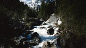 Preview wallpaper mountains, trees, fur-trees, mountain river, stones, rocks, current, speed