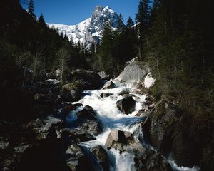 Preview wallpaper mountains, trees, fur-trees, mountain river, stones, rocks, current, speed