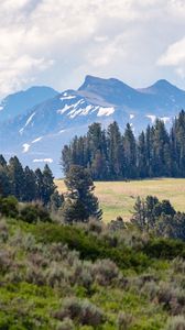 Preview wallpaper mountains, trees, glade, nature, landscape